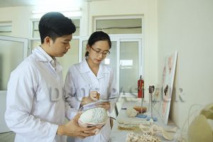 Những điều cần biết về ngành Điều dưỡng