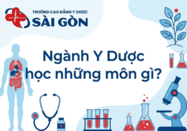 ngành Y Dược học những môn gì